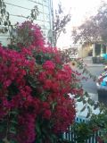IMG_20150323_175106_3