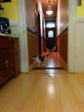 IMG_20150208_193545