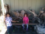 IMG_20150704_135126