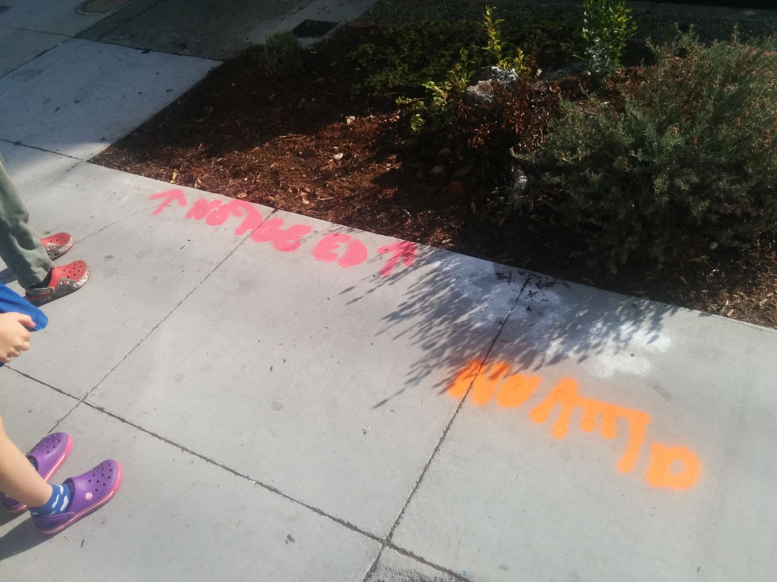 IMG_20151003_092739