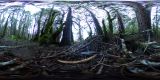 R0010056_20151230153328
