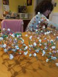 IMG_20160508_194526