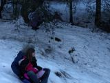 IMG_20160118_113104