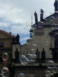 IMG_20160713_121234-ANIMATION