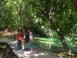 IMG_20160724_150042