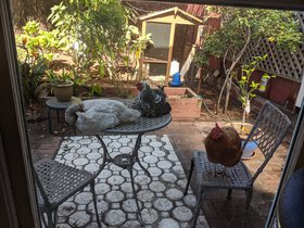 IMG_20200519_100214.jpeg