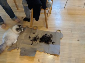 IMG_20200519_181027.jpeg