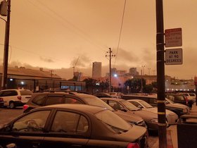 20200909_131004.jpg