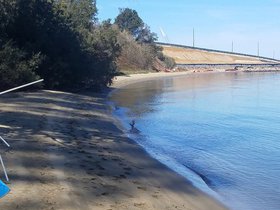 20200926_113942.jpg