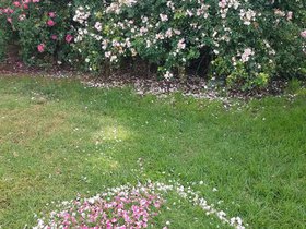 20201009_153353.jpg