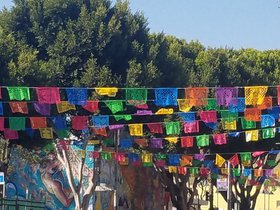 20201101_100521.jpg