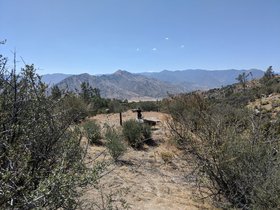 IMG_20200727_105455.jpg