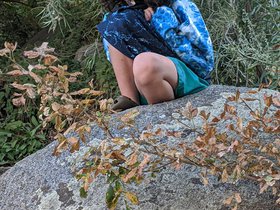 IMG_20200730_180626.jpg
