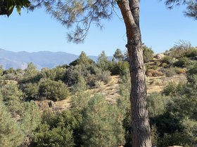 IMG_2369.jpg