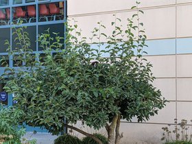 PXL_20201017_201632078.jpg