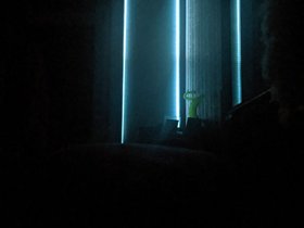 PXL_20201101_163719979.jpg