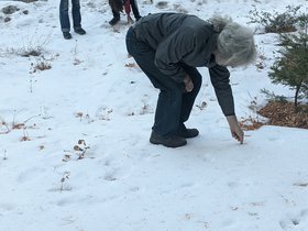 PXL_20201124_231709294.jpeg