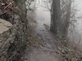 PXL_20210103_195217359.jpeg