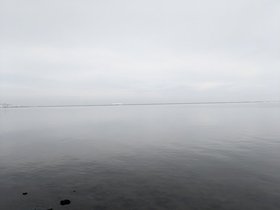 PXL_20210103_231435740.jpeg