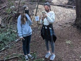 PXL_20210123_232816962.jpeg