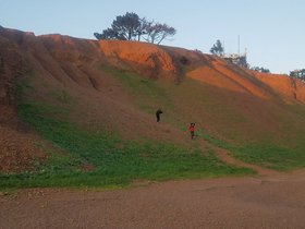 20210227_174909.jpg