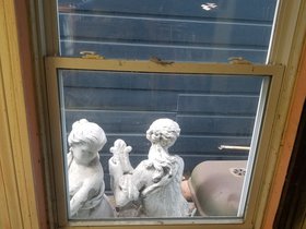 20210602_175204.jpeg