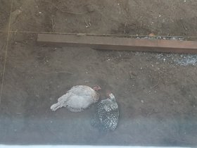 20210605_093118.jpeg