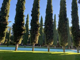 IMG_7795.jpeg