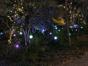 IMG_7828.jpeg