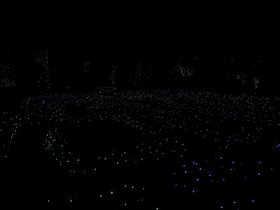 IMG_7851.jpeg