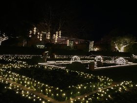 IMG_7871.jpeg