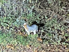 IMG_7886.jpeg