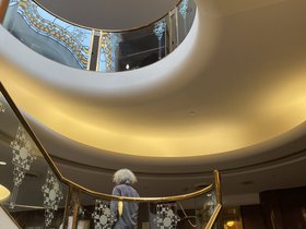 IMG_8560.jpeg