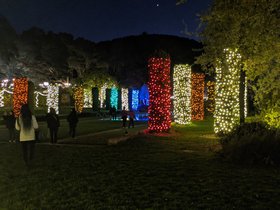 PXL_20211122_014725277.jpg