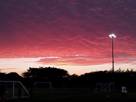 IMG_20220118_172756493.jpg
