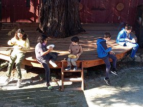 IMG_20220206_115436389.jpg