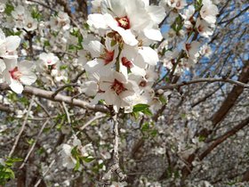IMG_20220220_135952347.jpg