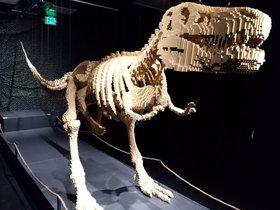 IMG_20220221_102047732.jpg