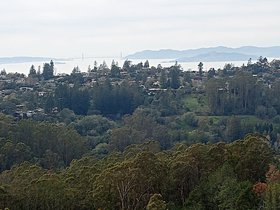 IMG_20220226_133806513.jpg
