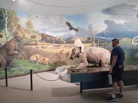 IMG_20220327_124141650.jpg