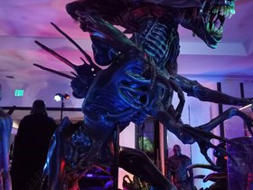 IMG_20220328_125215676.jpg