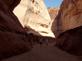 IMG_20220607_165728408.jpg