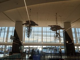 IMG_20221019_083102032.jpg
