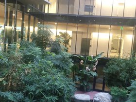 IMG_20221201_163314882.jpg