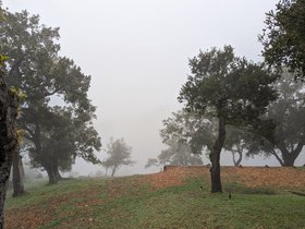PXL_20221229_213912548.jpg