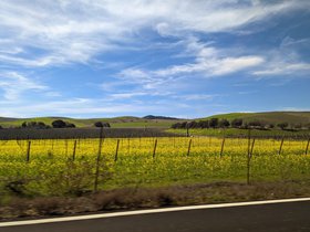 PXL_20230219_201049070.jpg