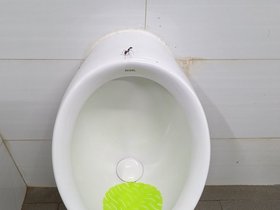PXL_20230527_162246425.jpg