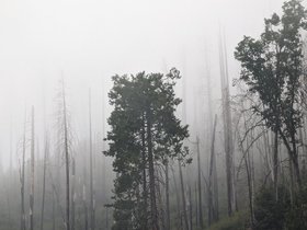 PXL_20230903_192101216.jpg