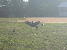 PXL_20240707_115149555.jpg