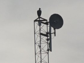 PXL_20240710_213008714.jpg